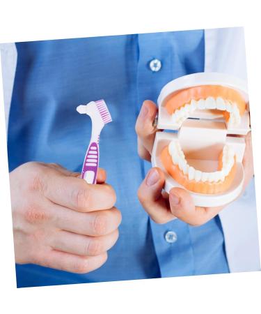 Minkissy 2-Piece Prosthesis Cleaning Brush Set | Travel-Friendly Prosthetic Toothbrush for Effective Cleaning - Buy Online on GoSupps.com