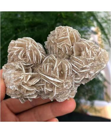 Natural Crystal Rough Natural Desert Rose Selenite Ra Crystal Stone Specimen Rough Sample Cluster FengShui Decor PEIQIYIN (Size : 300-400g) - Buy Online on GoSupps.com