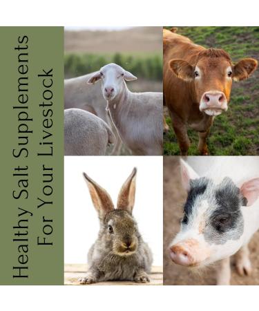 Natural Krafts Himalayan Salt Lick for Horses, Cattle, Sheep - 1-1.5 KG with Hanging Rope - Buy Online on GoSupps.com