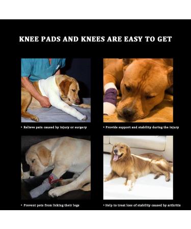 2pcs Dog Elbow Protector Pads Elbow Pads for Dogs Knee Brace for Dogs Adjustable Pet Knee Pads Strong Stability Dog Legs Protector for Recovering Injured(Black M) - Buy Online on GoSupps.com