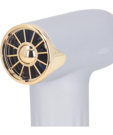 Alomejor Mini Fan - Portable Bladeless Hair Dryer for Pets | 4 Wind Levels 1100mAh Battery - Ideal for Cats & Dogs (Silver - Buy Online on GoSupps.com