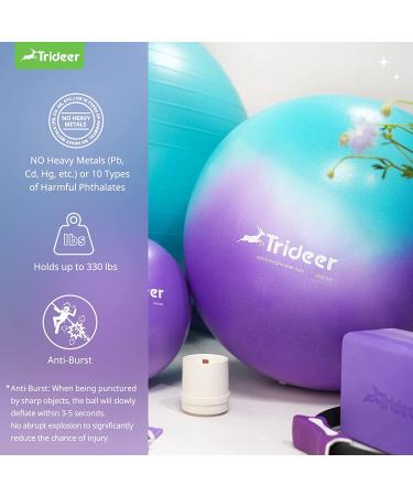Trideer Dreamy Exercise Ball 65cm - Yoga Ball for Home Gym, Desk Chair - Fitness & Physical Therapy - Quick Pump Included - Buy Online on GoSupps.com