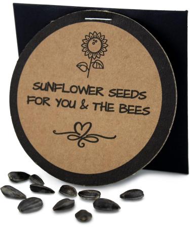 Beeswax Polish Starter Kit - Eco-Friendly Natural Finish for Wood & Furniture | International Shipping Available - Buy Online on GoSupps.com