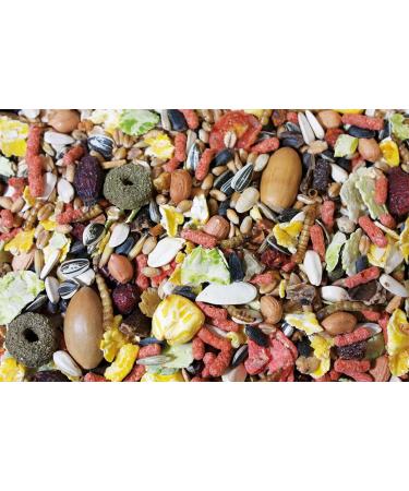 JR FARM Squirrel Feast 600g - Premium Nutrition for Squirrels | Best International Shipping - Buy Online on GoSupps.com