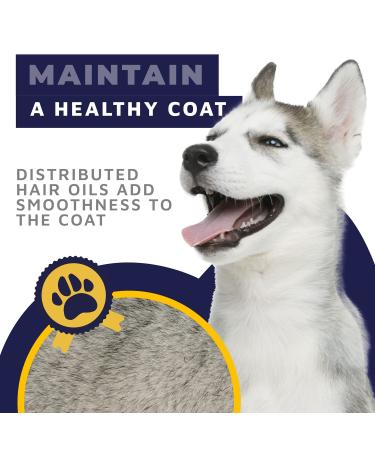 Professional Dog Brush for Grooming & Depilation | Blue Bundle for All Dog & Cat Sizes - Buy Online on GoSupps.com