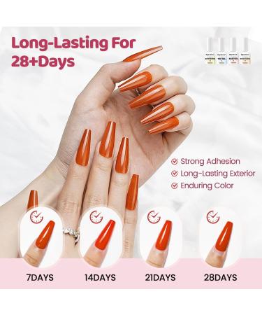 Dipping Powder Liquid Set (Base Coat Activator Matte Sealer) & Nail Replacement Brushes - Perfect for Beginners | International Shipping Available - Buy Online on GoSupps.com