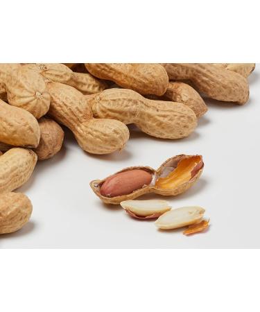 Buy Seeberger Jumbo Peanuts - 1 kg (Pack of 2) | Premium Quality | International Shipping Available - Buy Online on GoSupps.com