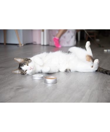 Meowy Janes Catnip Alternative Variety Powder Pack - Catnip Keef, Silvervine, and Valerian Root Powder - Cat Toy Large Tin (60 ml) - Buy Online on GoSupps.com