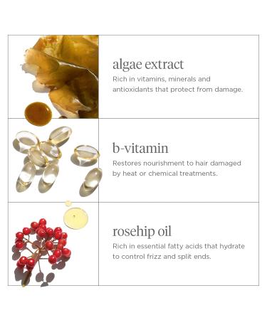 Briogeo Don't Despair Repair! Super Moisture Shampoo ry Damaged Hair Shampoo with Argan Oil for Hair Vegan Cruelty Free - 16 Fl Oz - Buy Online on GoSupps.com