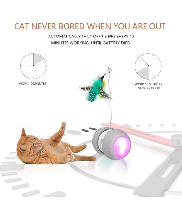 BENTOPAL Automatic Cat Feather Toy - Interactive Electric Exercise Toy for Indoor Cats & Kittens - Buy Online on GoSupps.com