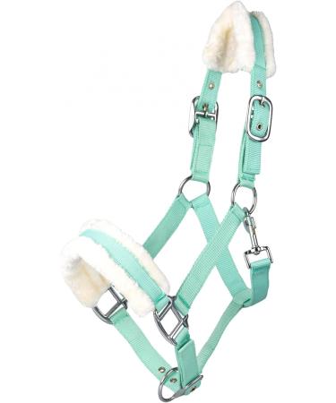 Buy RL24 Halter with Plush Padding - BASICLINE | Light Green for Shetty Pony Thoroughbred & Warmblood | 6 Color Options | International Shipping - Buy Online on GoSupps.com