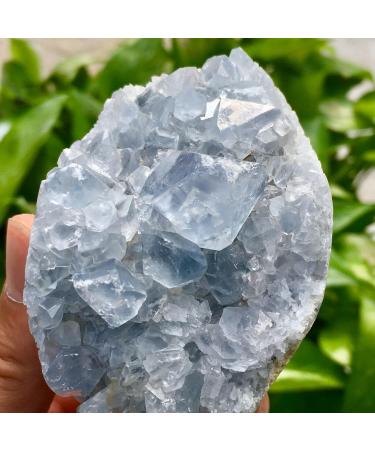 Natural Crystal Rough Natural Blue Celestite Cluster Specimen for Decoration Wedding Decoration AquariumStones - Buy Online on GoSupps.com
