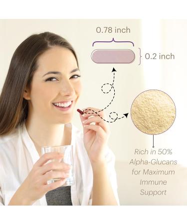 Active Hexose Correlated Compound Supplements 120 Vegan Caps 500mg Organic Shiitake Mushroom Extract Supplement Capsules for Immune Support & Natural Immune Booster Non-GMO & Gluten-Free - Buy Online on GoSupps.com