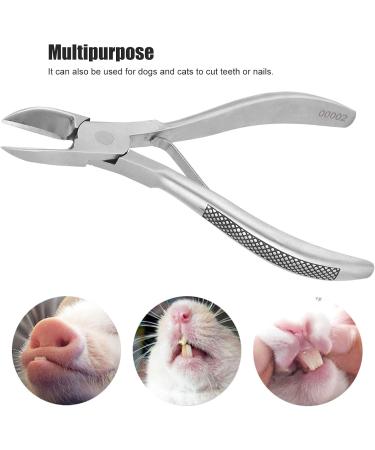 Pwshymi Stainless Steel Dental Forceps for Piglets - Comfortable Easy to Clean Dental Scissors for Newborn Teeth Trimming - Buy Online on GoSupps.com
