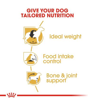 ROYAL CANIN/BEAGLE ADULT 3 kg bag of kibble for Beagle from 12 months - Buy Online on GoSupps.com