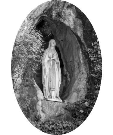 SACH CAILL.SUGAR FD.CARTON 300 GRS - Buy Online on GoSupps.com