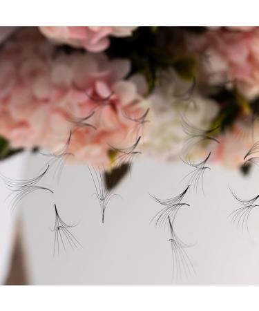 VNE Eyelashes 500 Fans Tray - Volume Lash Extensions Mixed Length Premade Fans Mega Lash Extension 3D C Curl 15mm - International Shipping - Buy Online on GoSupps.com