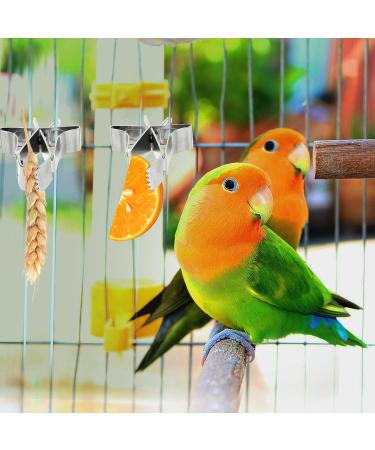 5-Piece Parrot Food Feeder Clips - Metal Vegetable Holder & Fruit Accessories for Bird Cages - Buy Online on GoSupps.com