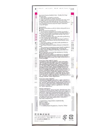 Shop Liese Kao Bubble Hair Color - Smoky Ash Gray | Vibrant International Shipping Available - Buy Online on GoSupps.com