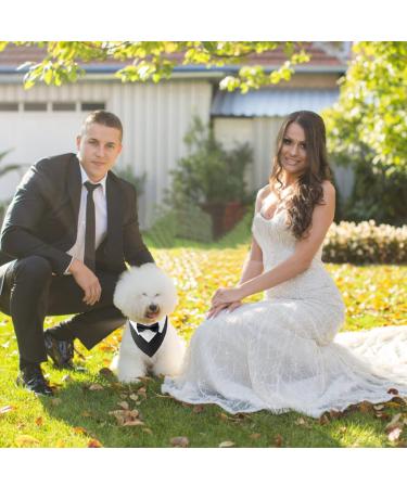 Hacraho Formal Dog Smoking Banda - Cotton Tuxedo Collar with Fly & Tie for Small Dogs & Cats - Black - 1 Piece - Buy Online on GoSupps.com