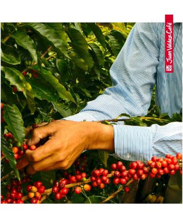 Juan Valdez Premium Caf Volcan moulu 250g/paquet - Buy Online on GoSupps.com