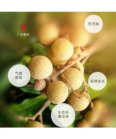  HQZMCTE Naturally Dried Longan 250g / 8.81oz Nutritionally Rich Natural Delight Without Additives - Buy Online on GoSupps.com
