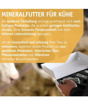 Vetmarkt24 Bolus - MIN - VIT Dry Bolus - Pack of 8 - Dry Cows - Buy Online on GoSupps.com