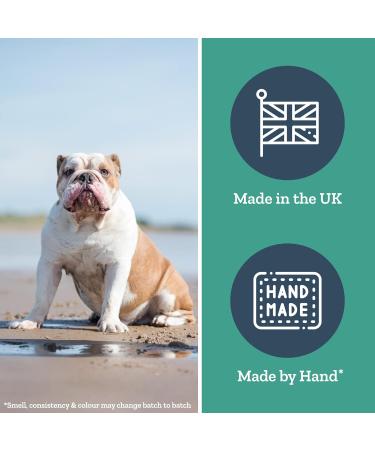 Herbal Dog Co 250ml Ear Cleaner for Dogs & Puppies | Natural Ear Cleaning Solution - Stops Itching, Removes Dirt | Vegan & Made in UK - Buy Online on GoSupps.com