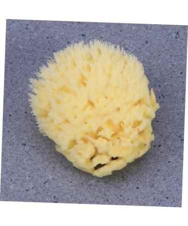 Beatifufu Shower Sponge Bath Sponge Seaweed Sponge Honeycomb Algae Sponge - Buy Online on GoSupps.com