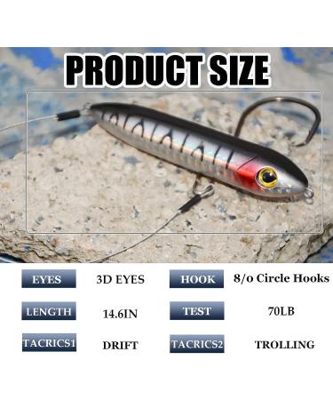Gourami Catfish Float Rigs - Demon Dragon Catfishing Lure - Rattling Santee Rig Tackle in Multicolor - Buy Online on GoSupps.com