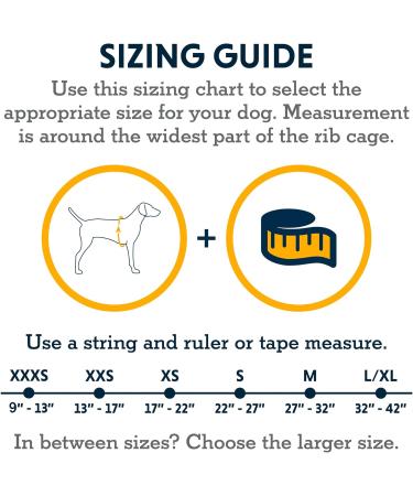 Ruffwear Hi & Light Dog Harness - Adjustable No Pull Harness for Small to XL Dogs | Lightweight Durable Blue Dusk (S 56-69cm) - Buy Online on GoSupps.com