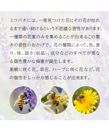 Organic Acacia Honey 350g - Buy Online on GoSupps.com