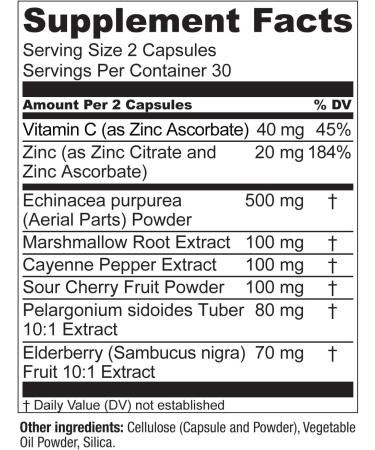 BreatheWell Botanical Respiratory Immune Supplement with Echinacea Elderberry Zinc - 60 Capsules - Buy Online on GoSupps.com