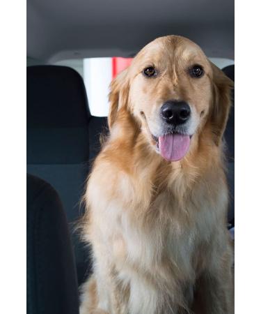 Turtle Wax 50755 Pet Hair Lifter 3 Pack - Effective Pet Hair Removal Tool - Buy Online on GoSupps.com