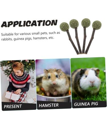 INOOMP 4pcs Guinea Chewing Playthings Rabbit Chewing Ball Guinea Pig Treats Bunny Teething Ball - Buy Online on GoSupps.com