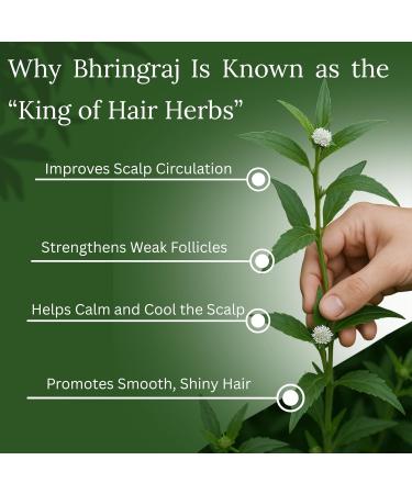 BASIC AYURVEDA Bhringrajasava Drink | 16.23 Fl Oz (480ml) | Natural Bhringraj Ayurvedic Hair Tonic | Supports Hair Growth Scalp Health & Immune System | No Added Sugar - Buy Online on GoSupps.com