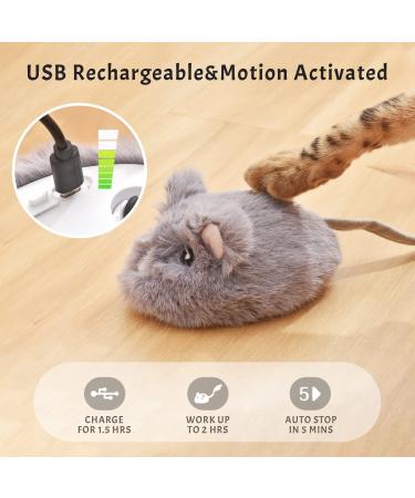 Pawthquake Interactive Cat Mouse Toy - Robotic Mice with Feather Wand & Electric Ball for Indoor Cats/Kittens | USB Rechargeable & Random Movement - Hunting Simulation - Buy Online on GoSupps.com