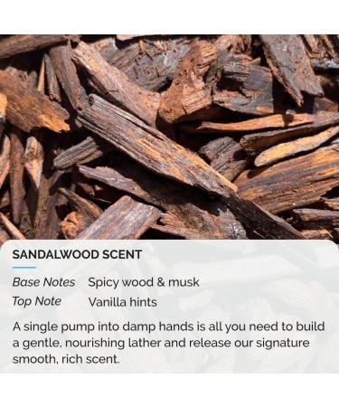 ZEUS Liquid Hand Soap with Aloe Vera | Natural Moisturizing Hand Wash | Prevents Dry Skin | Sandalwood Scent | Made in USA | 12 oz - Buy Online on GoSupps.com