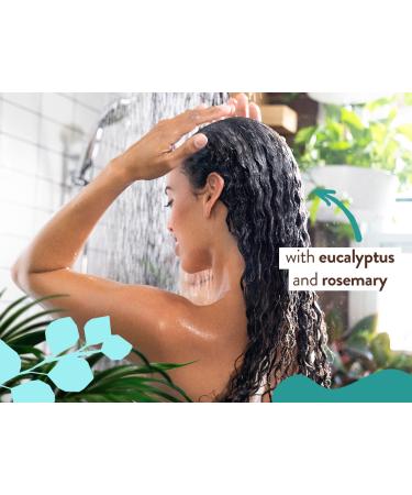 Babo Botanicals Eucalyptus Remedy Shampoo & Wash - Eucalyptus & Rosemary Oils - EWG Verified, Vegan & Cruelty-Free - 16 fl. oz - Buy Online on GoSupps.com