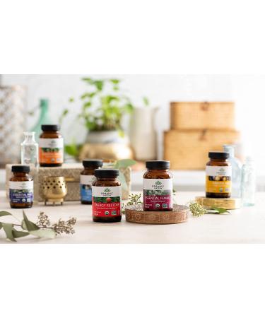Organic India Energy Restore - Daily Stamina & Resilience 90 Veg Caps - Buy Online on GoSupps.com
