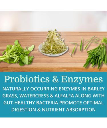 Morter HealthSystem Alka Cleanse - Herbal Alkaline Detox & Colon Cleanse Formula with Psyllium Husk, Probiotics, Enzymes & Herbs - Buy Online on GoSupps.com