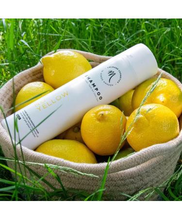 Calmare No Yellow Shampoo - Buy Online on GoSupps.com