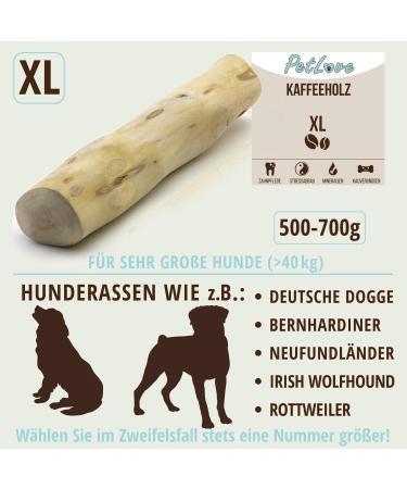 Petlove XL Coffee Wood for Dogs - Chewing Toy & Dental Care | Caffeine-Free Wooden Bones for Large Dogs - Buy Online on GoSupps.com