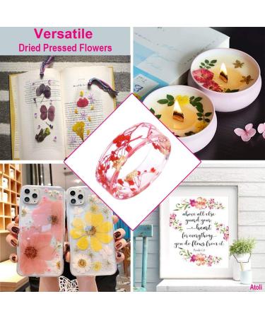 Colorful Real Dried Pressed Flowers & Leaves for Crafts - Resin Art, Floral Decor, Candle & Jewelry Making - Buy Online on GoSupps.com