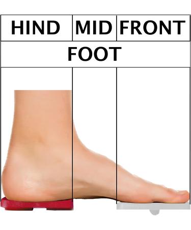 CELAFORME Ankle Foot Exerciser - Single Leg Balance Board for Sprained Ankle, Plantar Fasciitis Stretcher, Ankle Stabilizer, Foot Strengthener, Posture Corrector - Buy Online on GoSupps.com