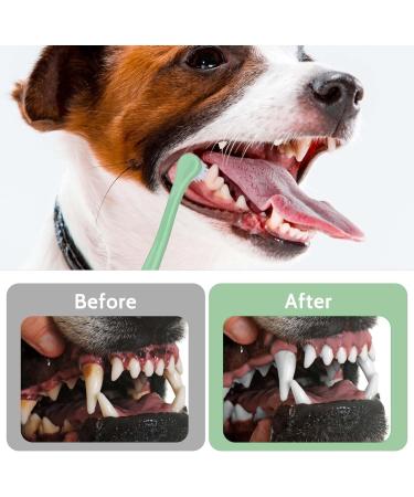 2-Piece Dog Toothbrush Set - Soft Mini Toothbrush for Puppies & Cats | Portable Deep Cleaning | Easy Travel Use - Buy Online on GoSupps.com