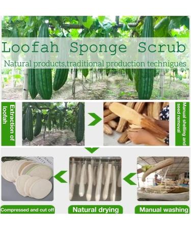 Miscati Natural Loofah Exfoliating Body Scrub Set - Eco-Friendly Bath Sponge for Deep Cleansing | Men and Women - Buy Online on GoSupps.com