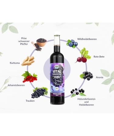  VITA ORGANICA Vita Organica Vital Concentrate 500 ml - Organic Wellness Drink with Cold Pressed Super Fruits - Grapes Blackcurrant Chokeberry Beetroot and Turmeric - Vegan Gluten Free No Added Sugar - Buy Online on GoSupps.com