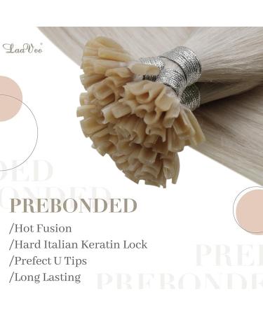 LAAVOO Exomionions Real Hair Extensions - Platinum Blonde U Tip Keratin Bonds 35cm - 50g #60 Remy Hair for Seamless Beauty - Buy Online on GoSupps.com