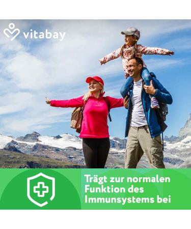 Vitabay Ginkgo Biloba 6000 mg - 540 Capsules | 24% Flavone & 6% Lactone | High-Quality & Lab-Tested | 3 Pack - Buy Online on GoSupps.com